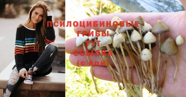 круглые Абаза