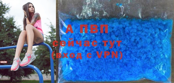 ГАЛЛЮЦИНОГЕННЫЕ ГРИБЫ Нея
